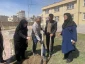 اجرای طرح کاشت درخت به مناسبت روز درختکاری در آموزشکده ملی مهارت دختران اردبیل 3