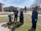 اجرای طرح کاشت درخت به مناسبت روز درختکاری در آموزشکده ملی مهارت دختران اردبیل 4