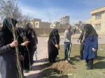 اجرای طرح کاشت درخت به مناسبت روز درختکاری در آموزشکده ملی مهارت دختران اردبیل 6