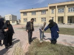 اجرای طرح کاشت درخت به مناسبت روز درختکاری در آموزشکده ملی مهارت دختران اردبیل 10