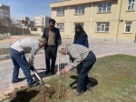 اجرای طرح کاشت درخت به مناسبت روز درختکاری در آموزشکده ملی مهارت دختران اردبیل 11