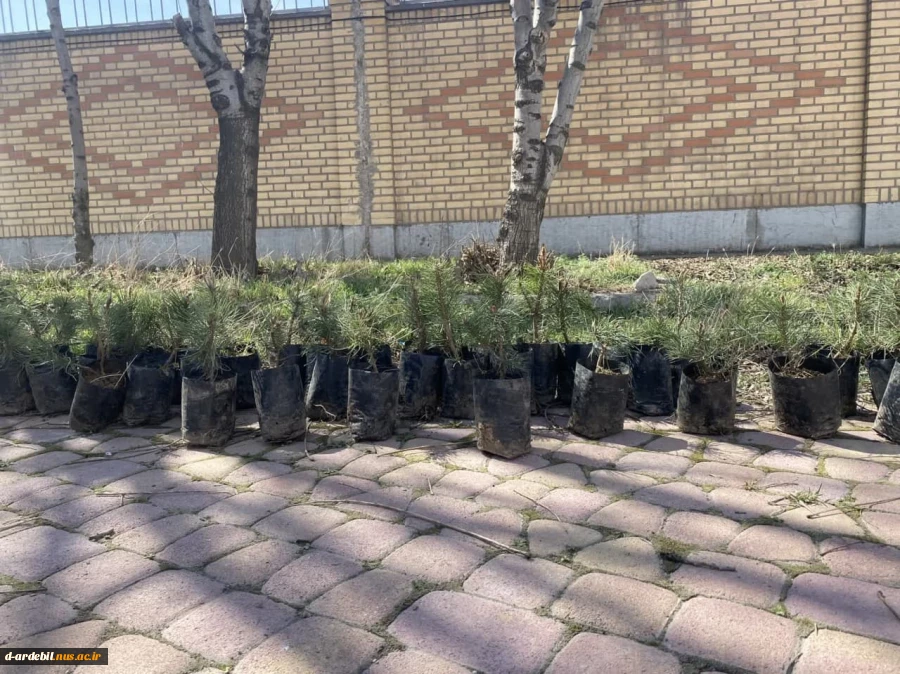 اجرای طرح کاشت درخت به مناسبت روز درختکاری در آموزشکده ملی مهارت دختران اردبیل 12